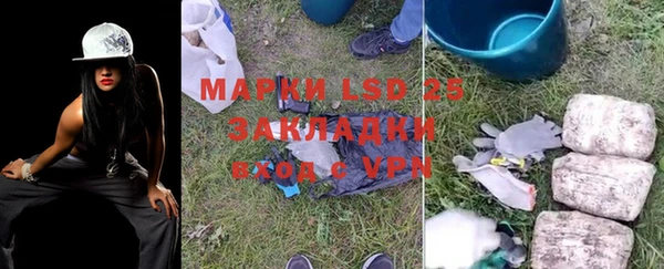 ГАЛЛЮЦИНОГЕННЫЕ ГРИБЫ Беломорск