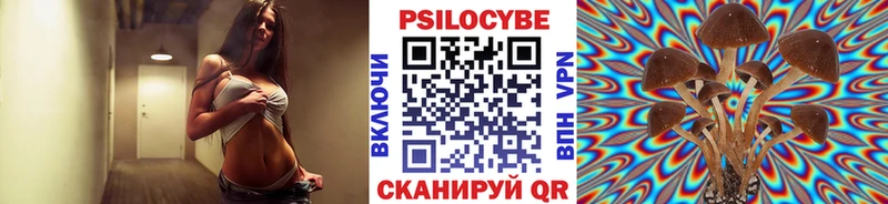 Галлюциногенные грибы Cubensis  цены наркотик  Луховицы 